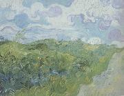 Vincent Van Gogh Green Wheat Fields (nn04) painting